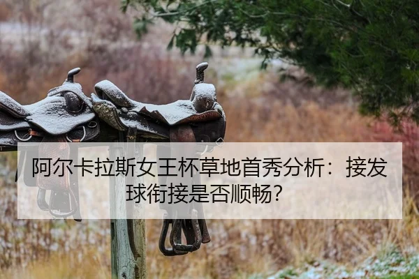 a-er-ka-la-si-nv-wang-bei-cao-di-shou-xiu-fen-xi-jie-fa-qiu-xian-jie-shi-fou-shun-chang-2-569.jpg