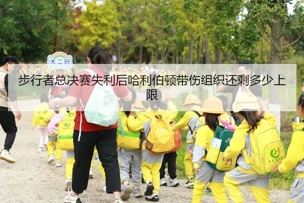 步行者总决赛失利后哈利伯顿带伤组织还剩多少上限
